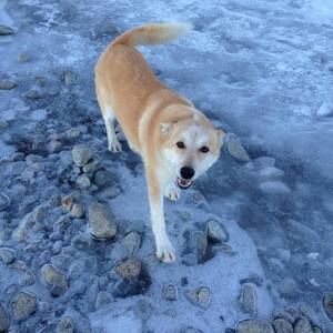 Meet your Posher, Sean